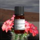 Fragrance Fleur de Cactus