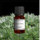 Fragrance Artemisia