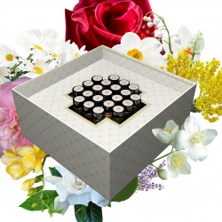 BOX  1 - Flores Clásicas