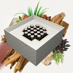 Box N ° 2 - Wood and Resins