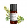 Fragrance Absinthe