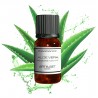 Fragrance Aloe Vera