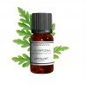 Fragrance Ambrosia