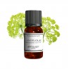 Fragrance Angélique