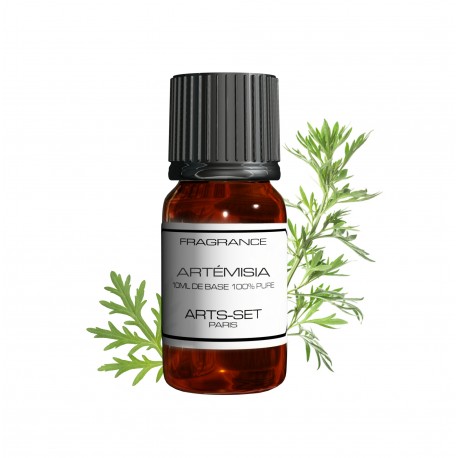 Fragrance Artemisia