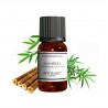 Fragrance Bambou