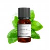 Fragrance Basil