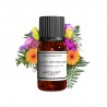 Fragrance Bouquet de Printemps