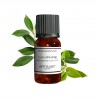 Fragrance Camphre