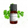 Fragrance Coriander
