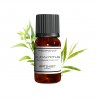 Fragrance Eucalyptus