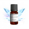 Fragrance Fairies Wings