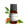 Fragrance Feuille de Tomate