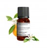 Fragrance Fleur d'Oranger
