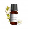 Fragrance Fleur de Prunier