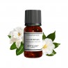 Fragrance Gardenia