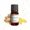 Fragrance Gingembre