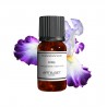 Fragrance Iris