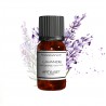 Fragrance Lavande