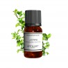 Fragrance Lierre