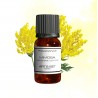 Fragrance Mimosa