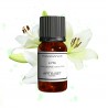 Fragrance Lys (Fleur)