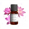 Duft Lotus (Blume)
