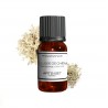 Fragrance Mousse de Chêne