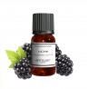 Fragrance Blackberry