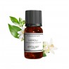 Fragrance Néroli