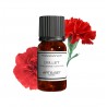 Fragrance Oeillet