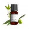 Fragrance Olivier (Feuilles)