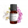 Fragrance Orchid