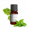 Fragrance Patchouli