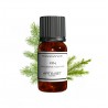 Fragrance Pine