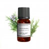 Fragrance Romarin