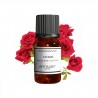 Fragrance Rose