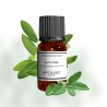 Fragrance Sauge