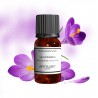 Fragrance Safran
