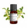 Fragrance Osmanthus