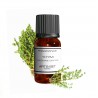 Fragrance Thyme