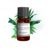 Fragrance Green Note