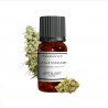 Fragrance Maui Wowie
