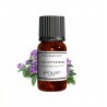 Fragrance Héliotrope