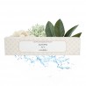 ACCORD N°1 - Marin