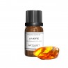 Fragrance Ambre