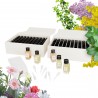 Box 140 Fragrances