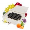 Coffret 36 Fragrances